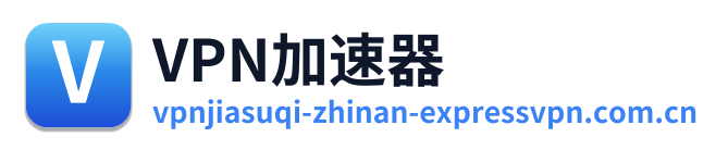 VPN加速器 Logo